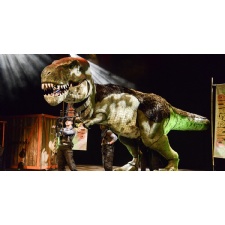 Dinosaur World Live