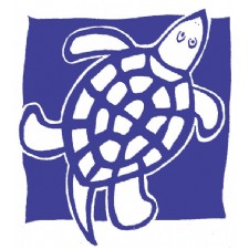 Blue Turtle Toys