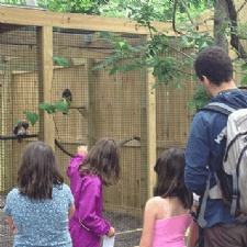 Glen Helen Raptor Center