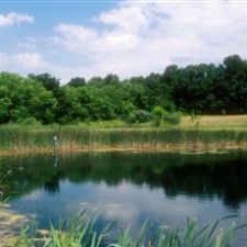 Stillwater Prairie Reserve