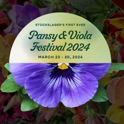 Stockslager's Pansy & Viola Festival