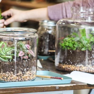 Create a Terrarium that's Uniquely You